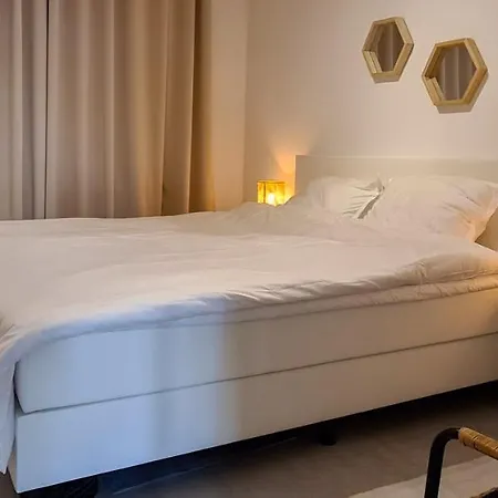 King 44 オステンド